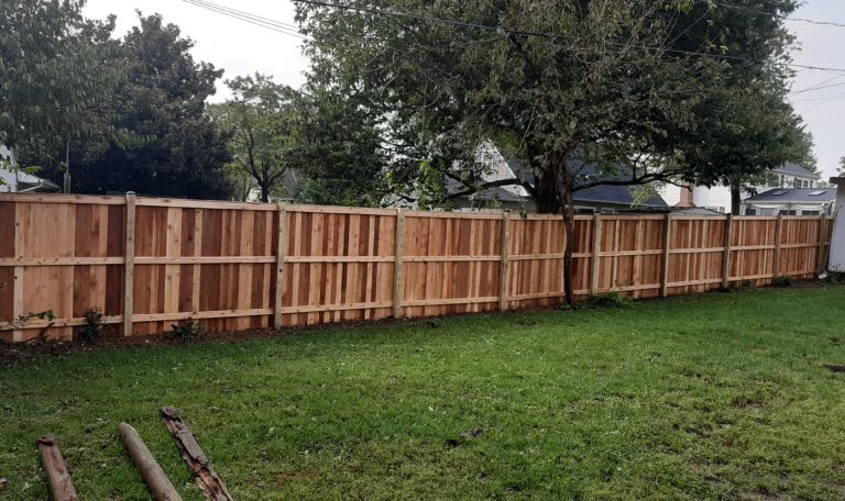 cedar vertical board fence - 20200918_101111