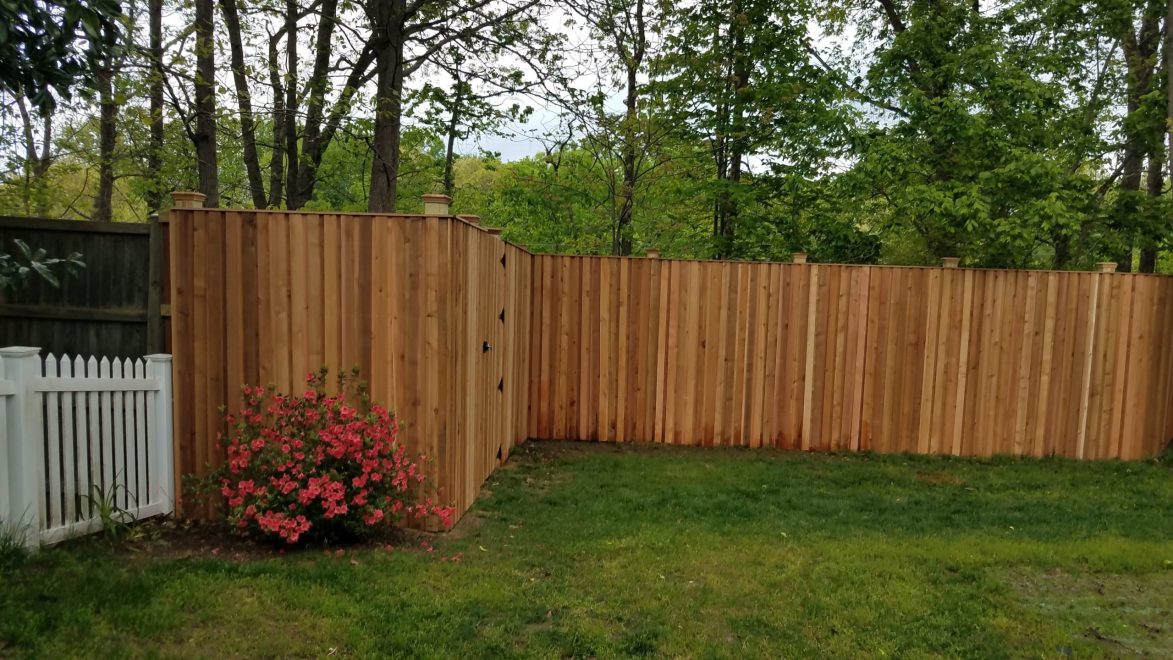 8 feet high cedar board board & batten fencing - 20200508_134534