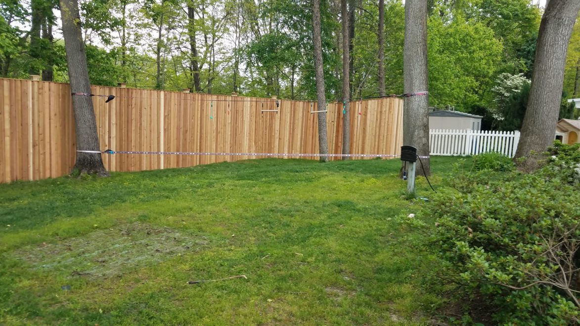 8 feet high cedar board board & batten fencing - 20200508_134537